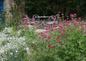 Le Jardin