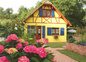 Hortensia devant le Gîte