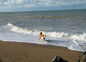 Roni à la mer