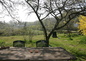 le Jardin