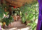jardin d'hiver