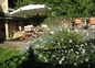 Jardinet