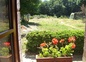Le jardin