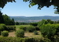 Vue