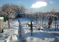 Le jardin en hiver