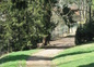 Parc Puzenat