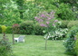 Le jardin