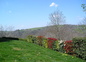 Le jardin