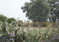 parc
