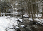 la riviere l'eau verte