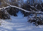 Sentier de randonnée sous la neige