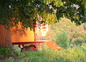 Toutes les roulottes sont placées sous les arbres