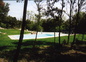 piscine sous-bois