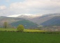 Plomb du Cantal