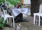 RATATOUILLE vous attend !!