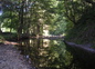 Rivière du gîte