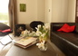 Salon avec TV, lecteur DVD