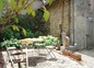 la terrasse
