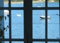 Vue mer de Ty Losket