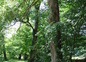 Vue extérieure